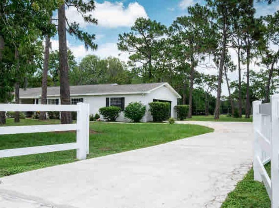 3Bdr2Bath Home In Lutz Close To Tampa, 20 Min To Stadium, Airport ภายนอก รูปภาพ